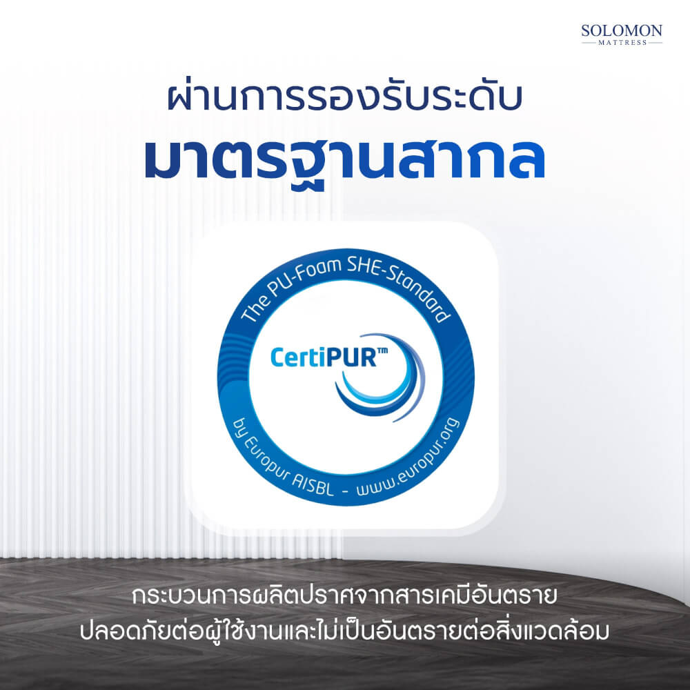 SOLOMON โซฟา โซฟาหนอนนุ่ม รุ่น MORI ทูโทน สีขาว-น้ำเงิน